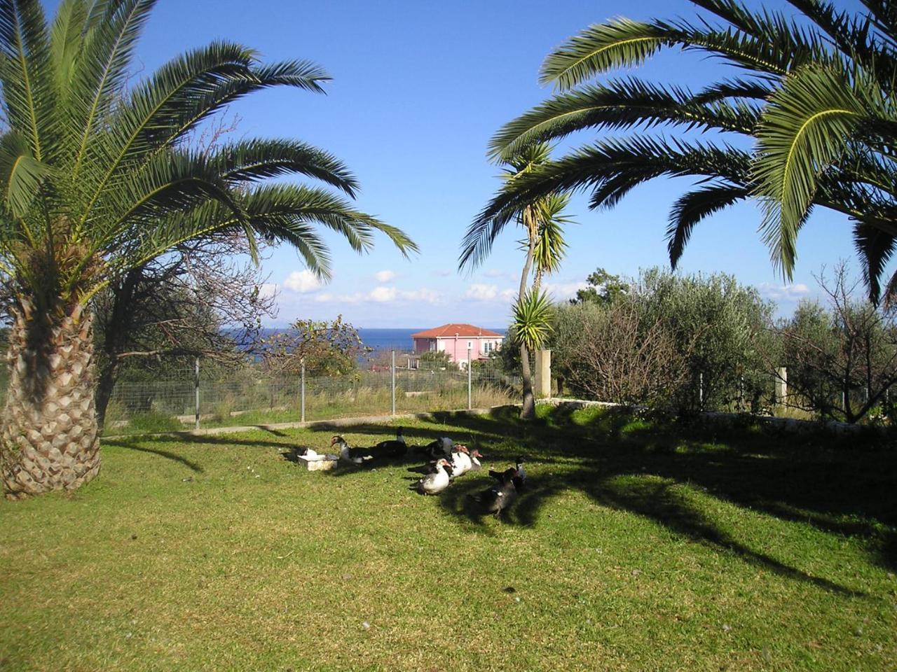 Nikolaos Studios Skala Skala  Esterno foto